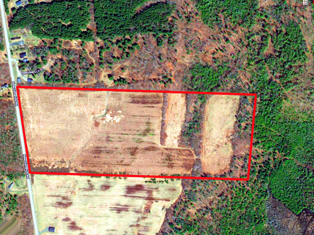 Lot 12 New Limerick Road Houlton, ME 04730 - Photo 12 of 32 land-linneus-ducharme
