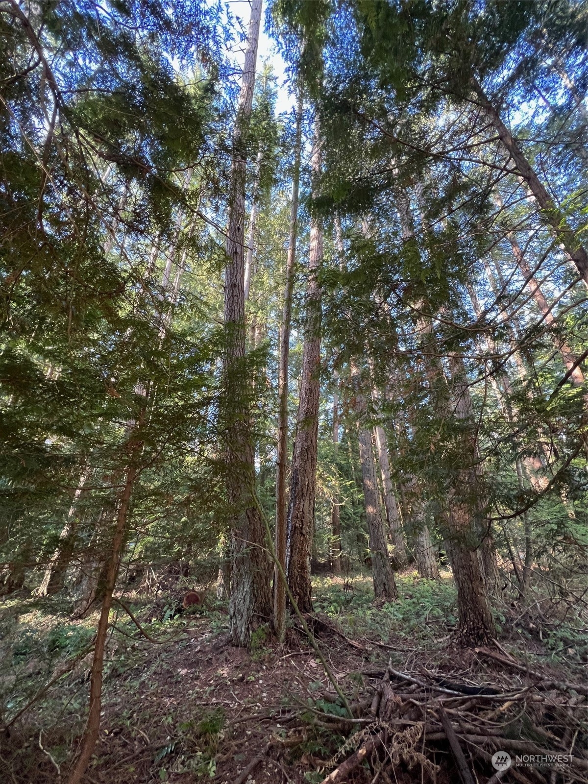 1 Mill Road Point Roberts, WA 98281 - Photo 2 of 6