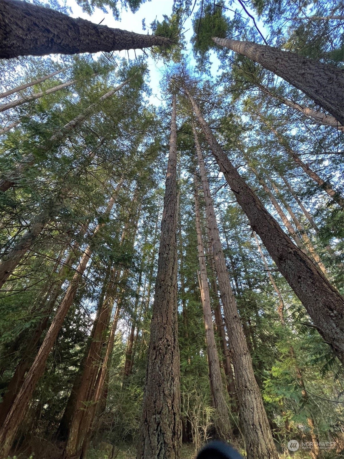 1 Mill Road Point Roberts, WA 98281 - Photo 3 of 6