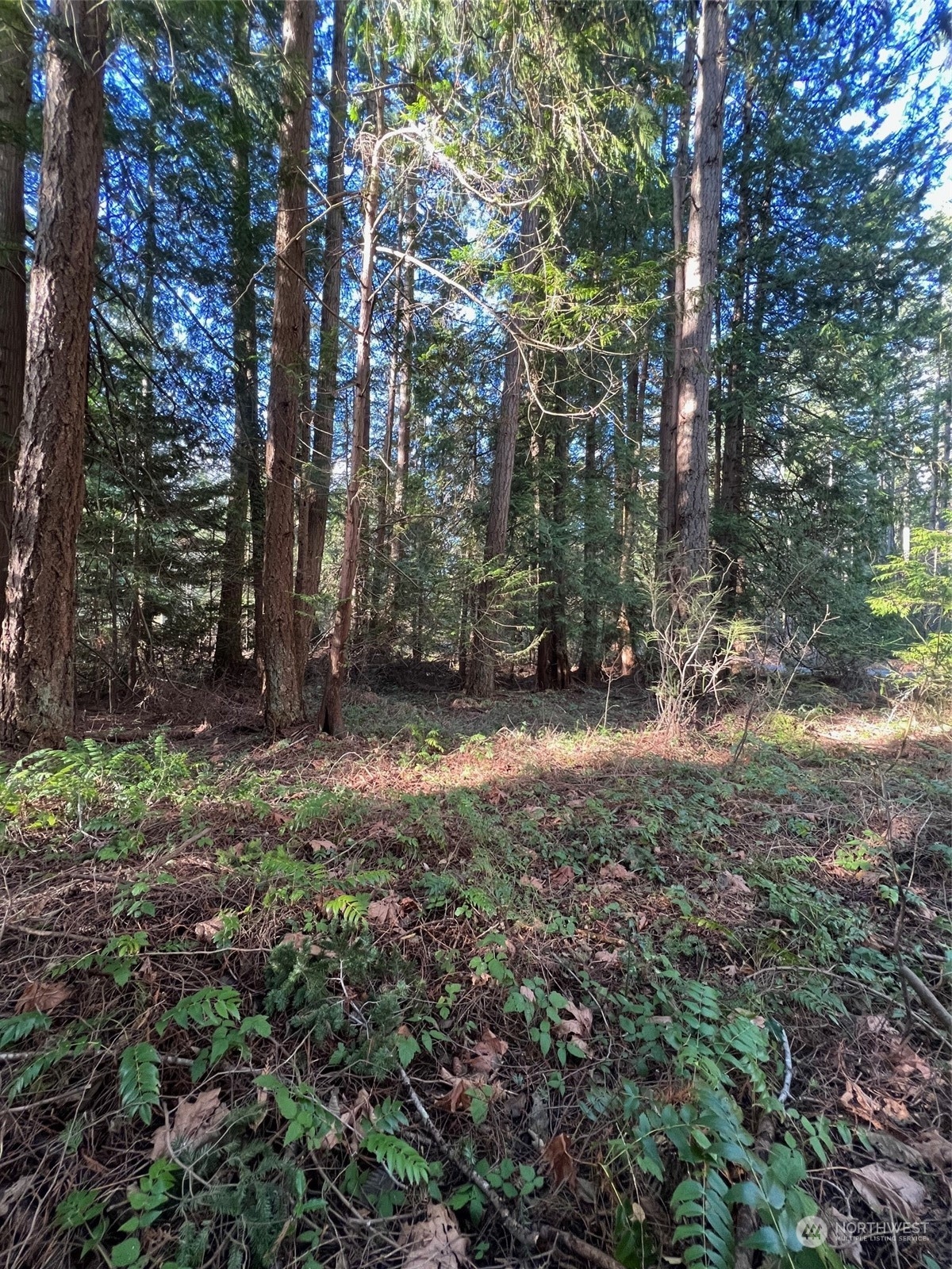 1 Mill Road Point Roberts, WA 98281 - Photo 4 of 6