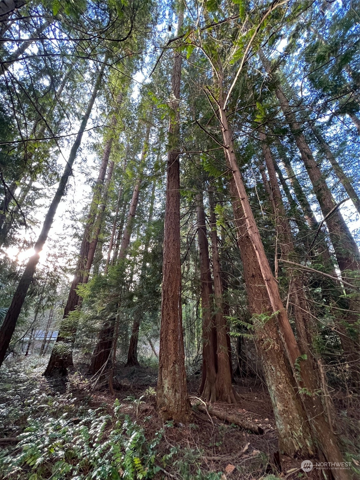 1 Mill Road Point Roberts, WA 98281 - Photo 5 of 6