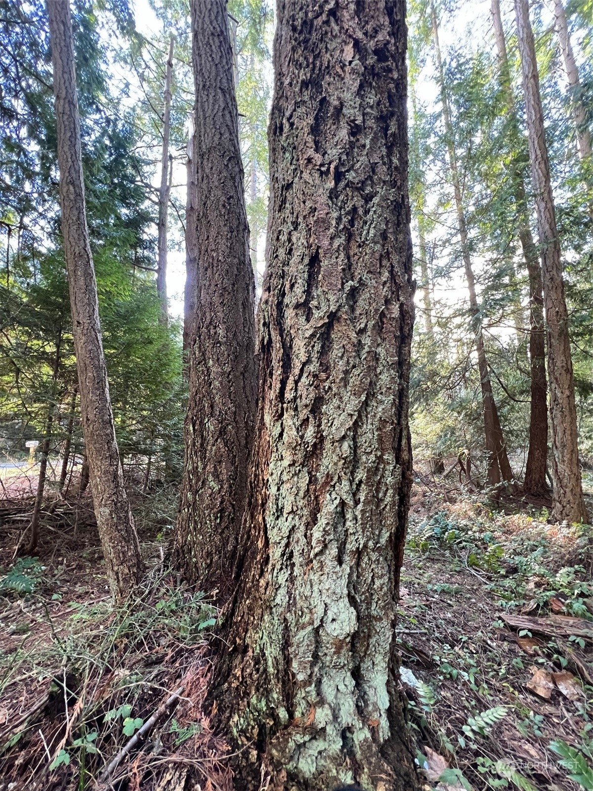 1 Mill Road Point Roberts, WA 98281 - Photo 6 of 6