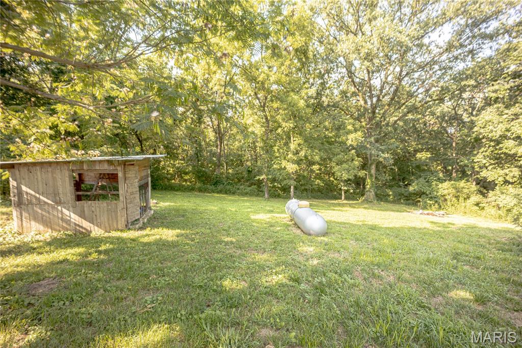 25493 Highway 3 Dow, IL 62022 - Photo 11 of 12