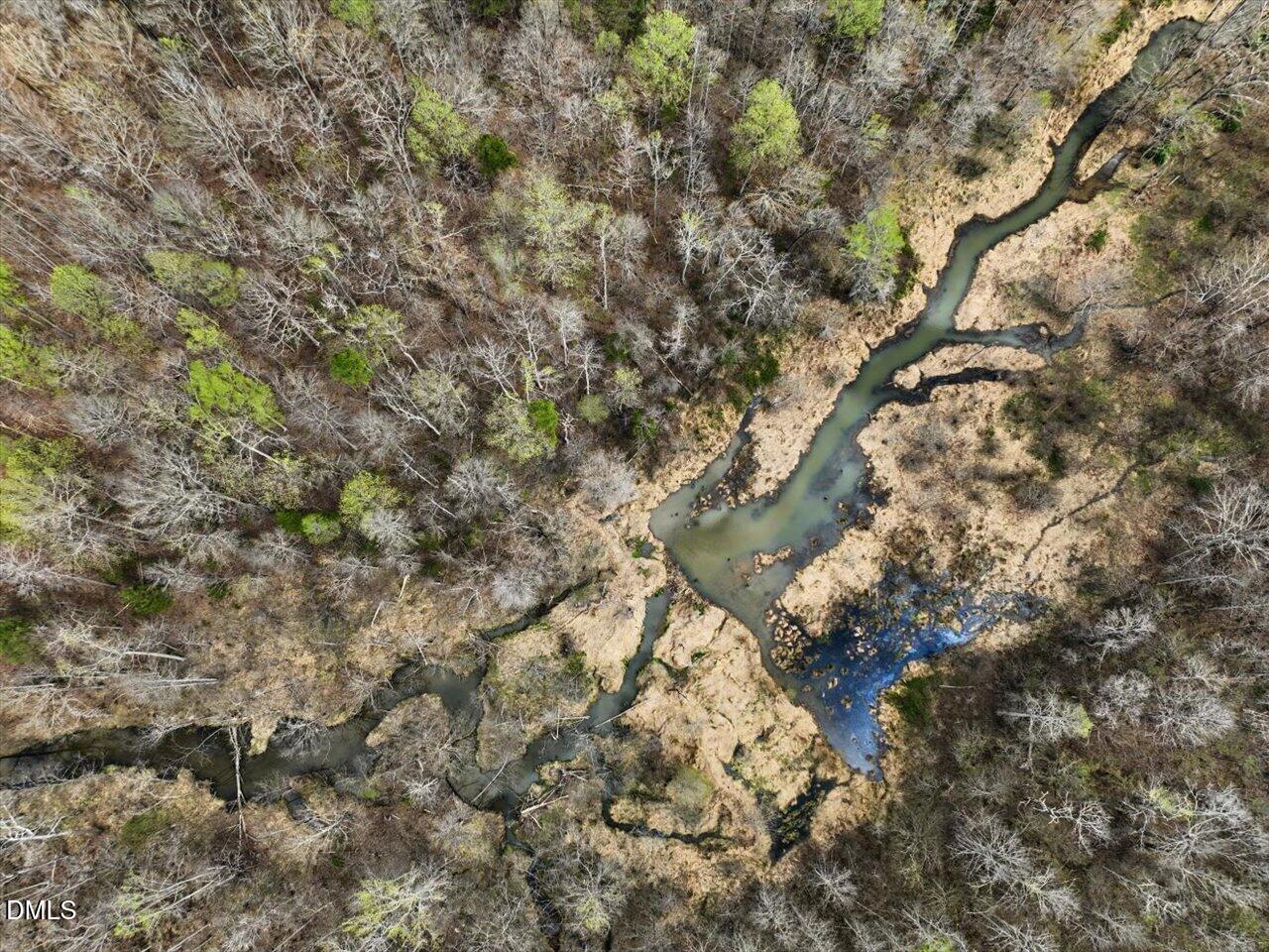 7793 Ridgeville Road Leasburg, NC 27291 - Photo 42 of 91