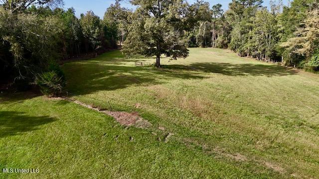 Enterprise Road Liberty, MS 39645 - Photo 11 of 17 151 AC Enterprise Rd Pic 11