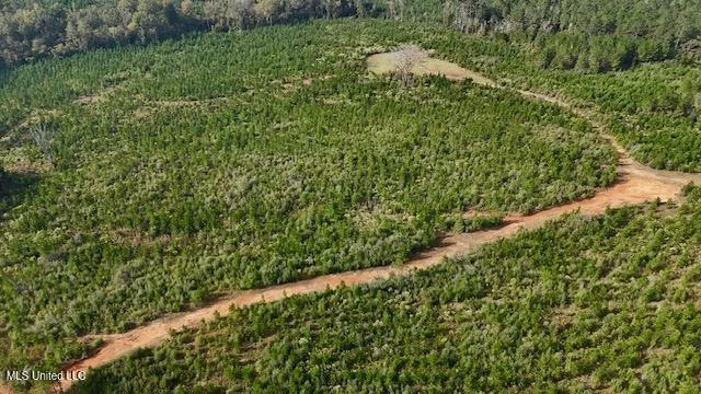 $641,750 | Enterprise Road, Liberty, MS 39645