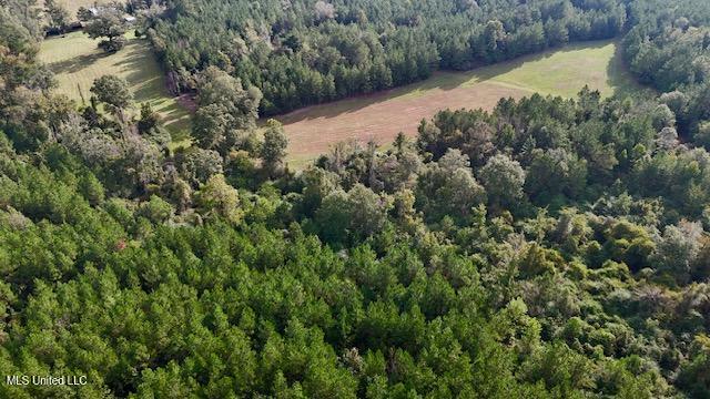 Enterprise Road Liberty, MS 39645 - Photo 13 of 17 151 AC Enterprise Rd Pic 13