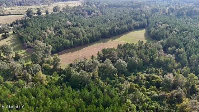 $641,750 | Enterprise Road, Liberty, MS 39645