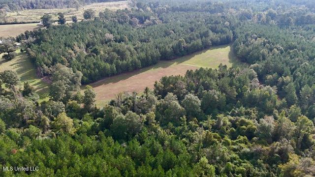 Enterprise Road Liberty, MS 39645 - Photo 14 of 17 151 AC Enterprise Rd Pic 14