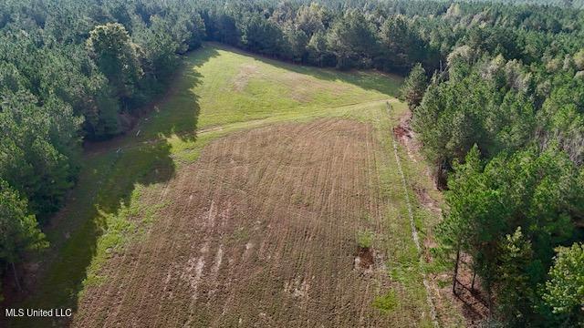 Enterprise Road Liberty, MS 39645 - Photo 16 of 17 151 AC Enterprise Rd Pic 16