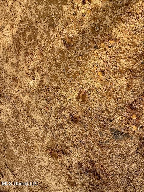 Enterprise Road Liberty, MS 39645 - Photo 8 of 17 151 AC Enterprise Rd Pic 8