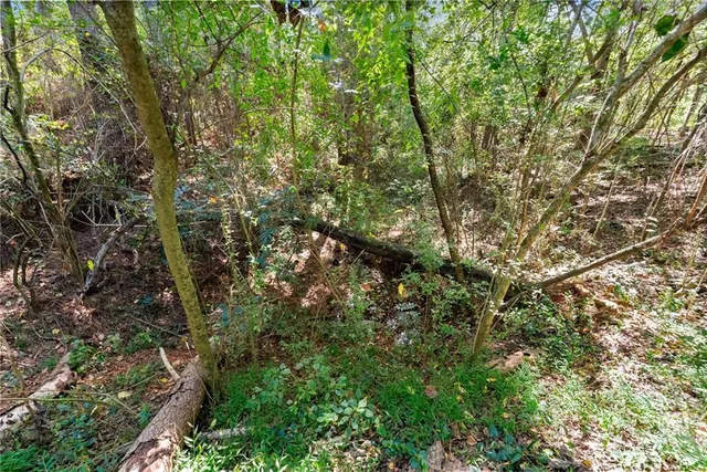 an aerial view of residential houses with outdoor space and trees