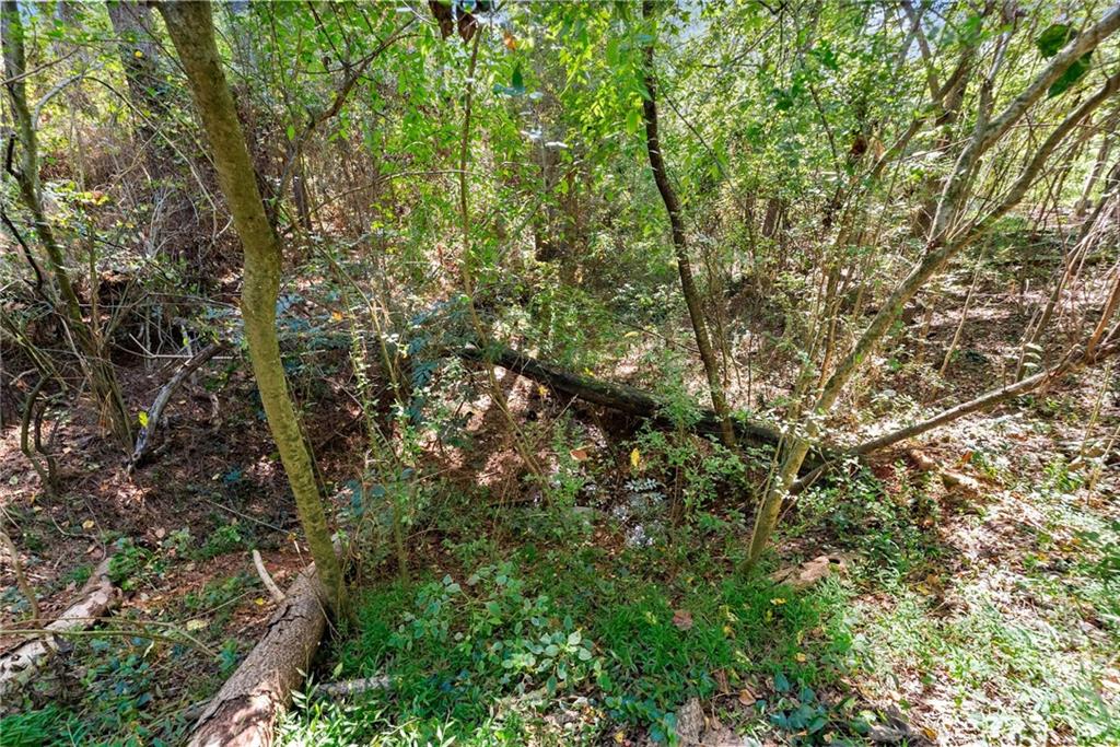 7540 County Line Road Lula, GA 30554 - Photo 44 of 64