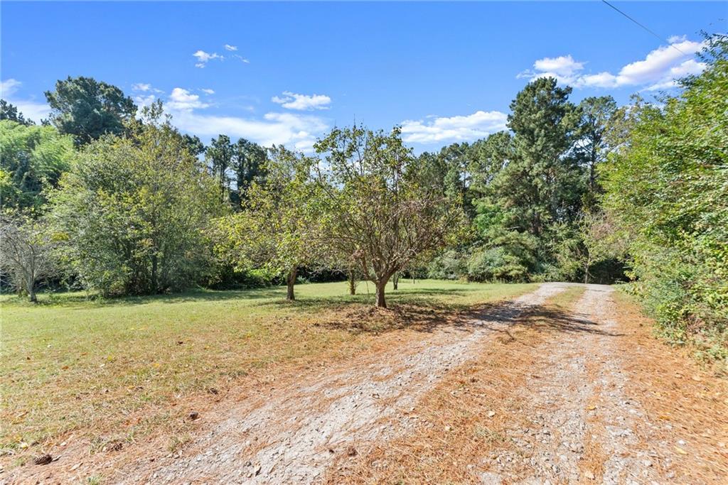 7540 County Line Road Lula, GA 30554 - Photo 45 of 64 a backyard of a house with lots of green space