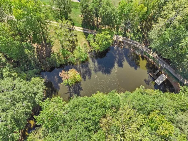 a view of a garden with an outdoor space