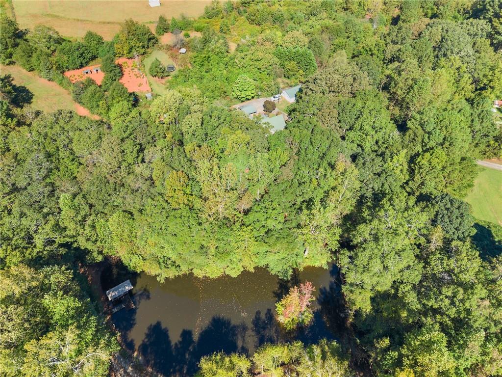7540 County Line Road Lula, GA 30554 - Photo 47 of 64 a view of a lake with a tree