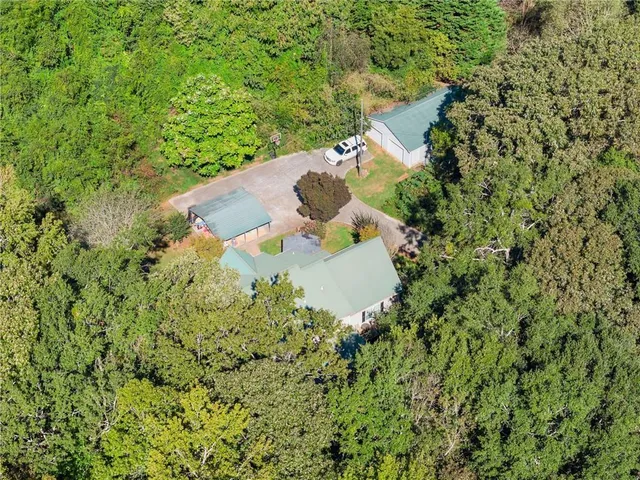 a view of a garden with plants