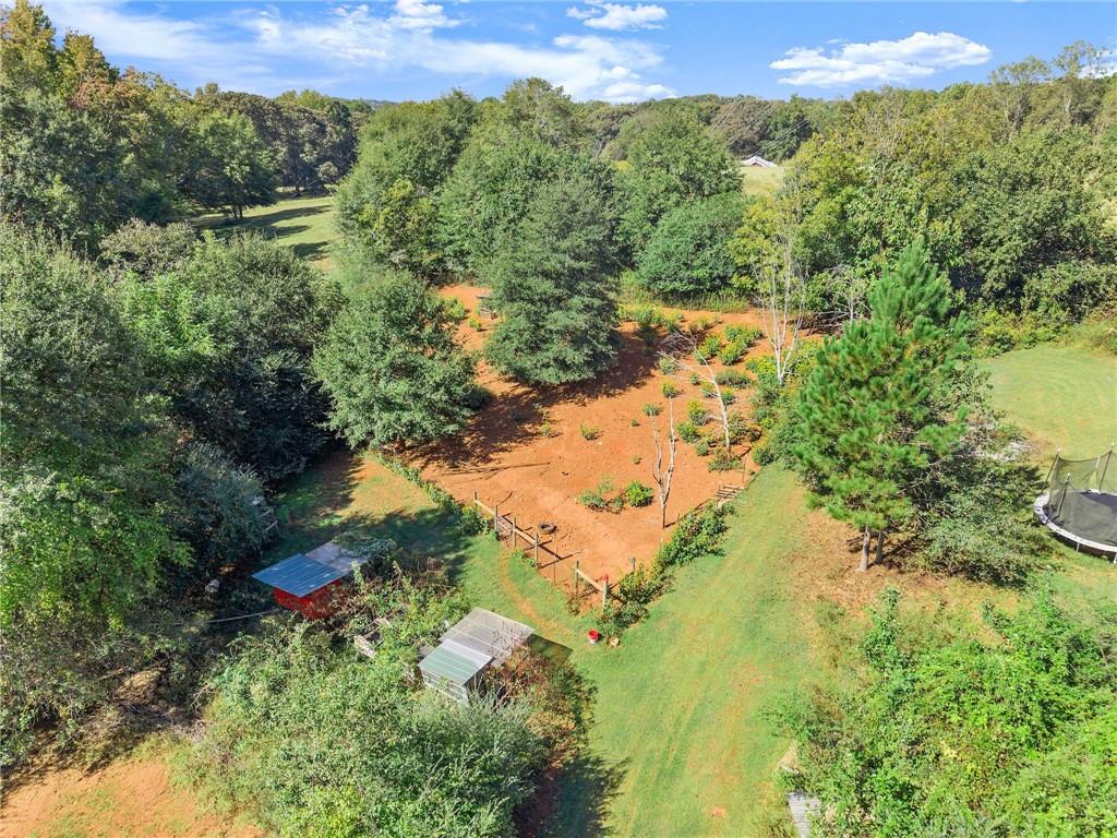 7540 County Line Road Lula, GA 30554 - Photo 50 of 64 a view of a yard with a lake