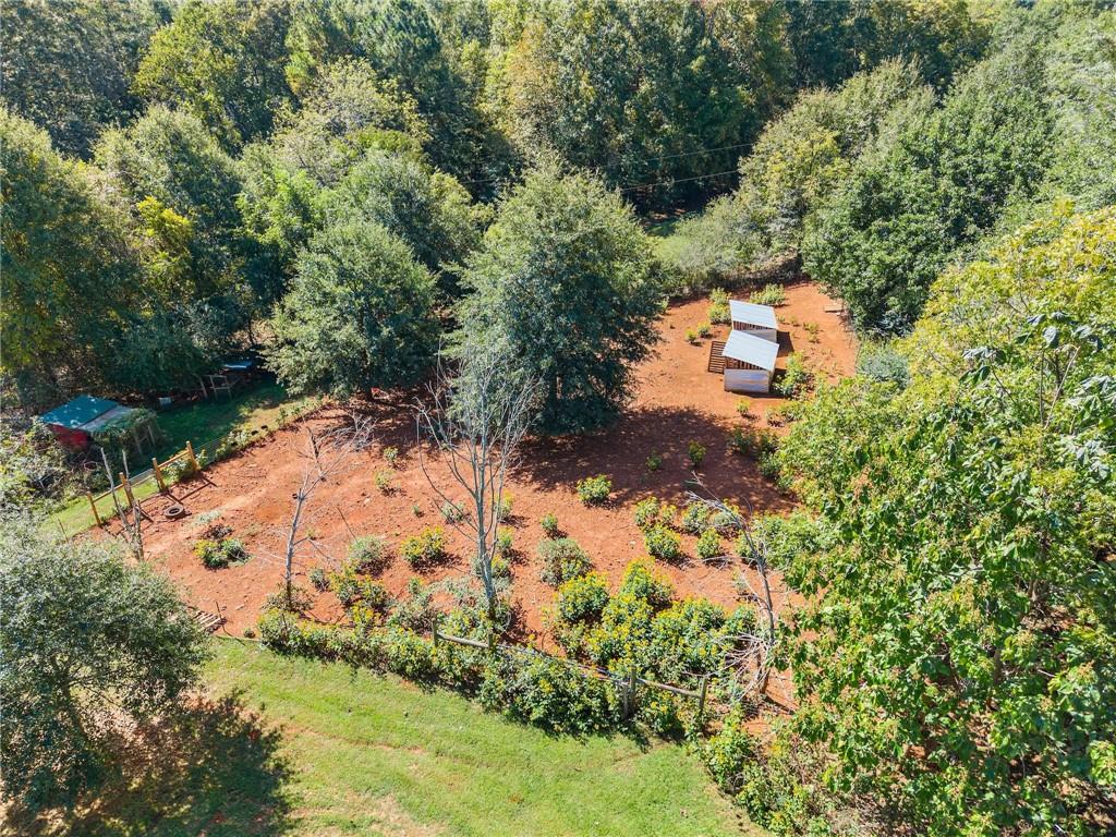 7540 County Line Road Lula, GA 30554 - Photo 52 of 64