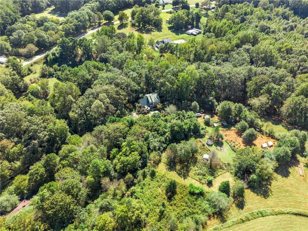 7540 County Line Road Lula, GA 30554 - Photo 61 of 64 a view of a garden with plants