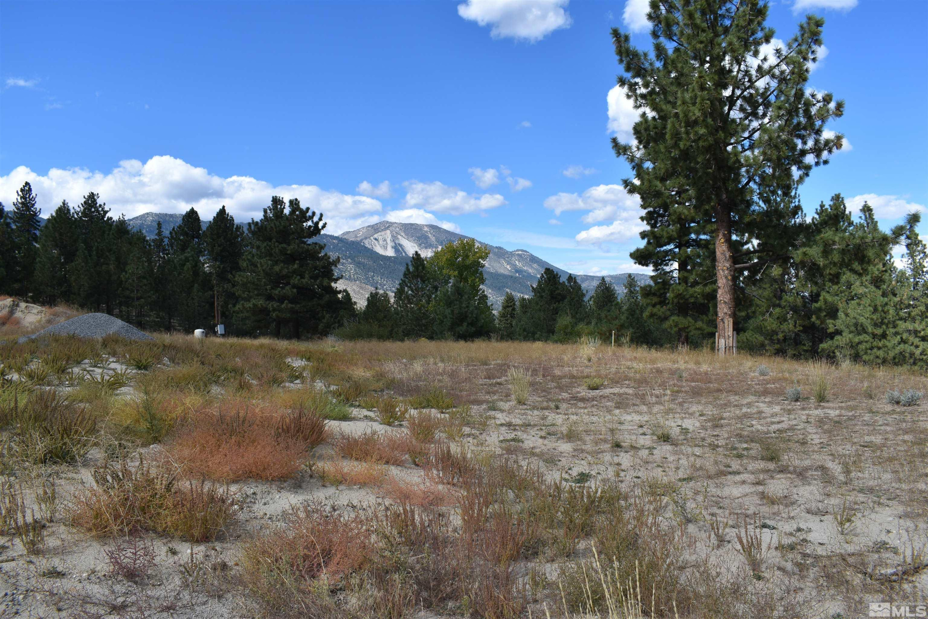2 Mill Station Ranch Road Washoe Valley, NV 89704 - Photo 3 of 9 Photo 3