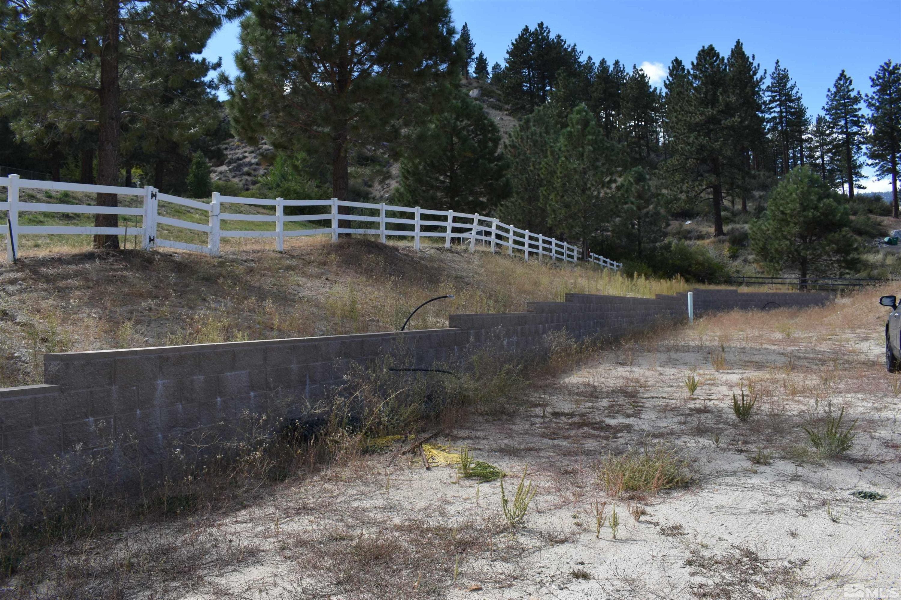 2 Mill Station Ranch Road Washoe Valley, NV 89704 - Photo 4 of 9 Photo 4
