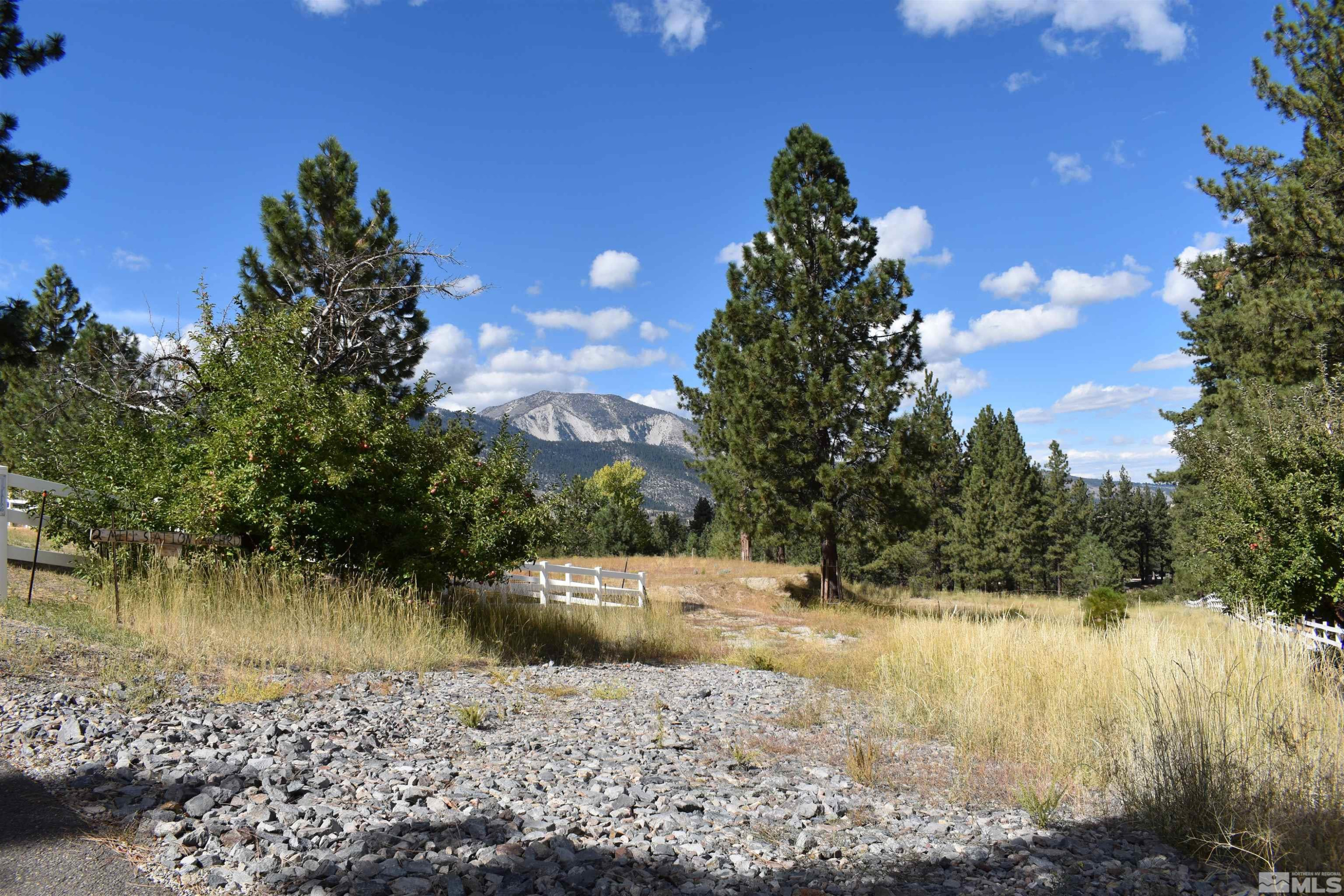 2 Mill Station Ranch Road Washoe Valley, NV 89704 - Photo 9 of 9 Photo 9