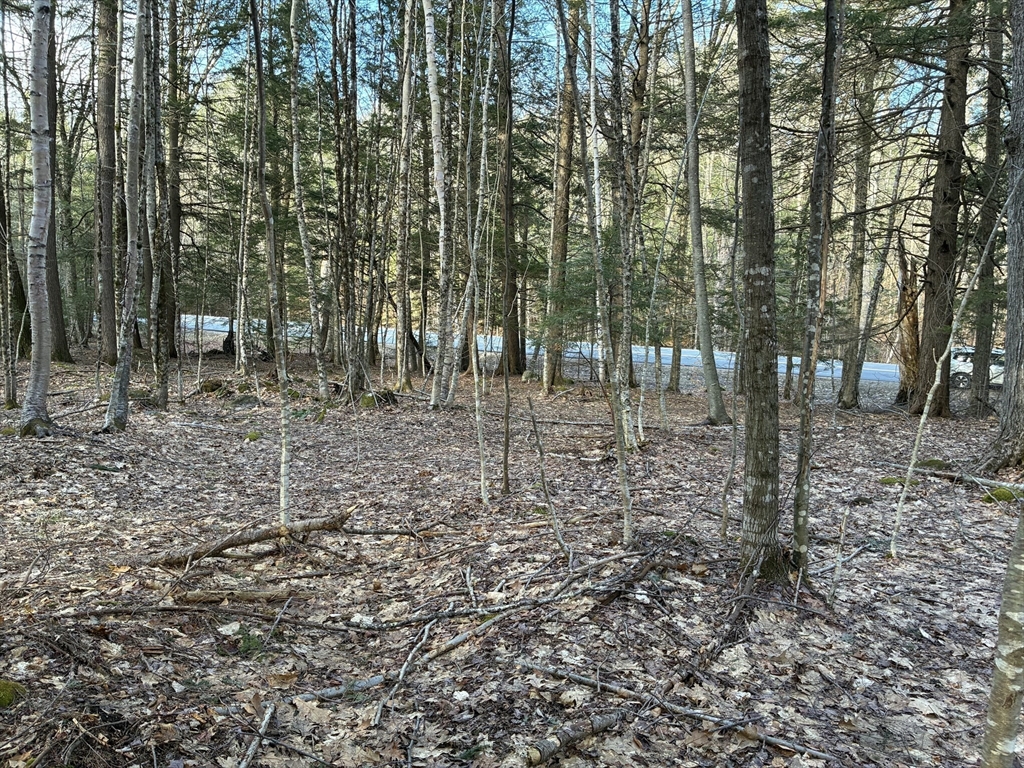 2 Leshures Road Rowe, MA 01367 - Photo 13 of 14