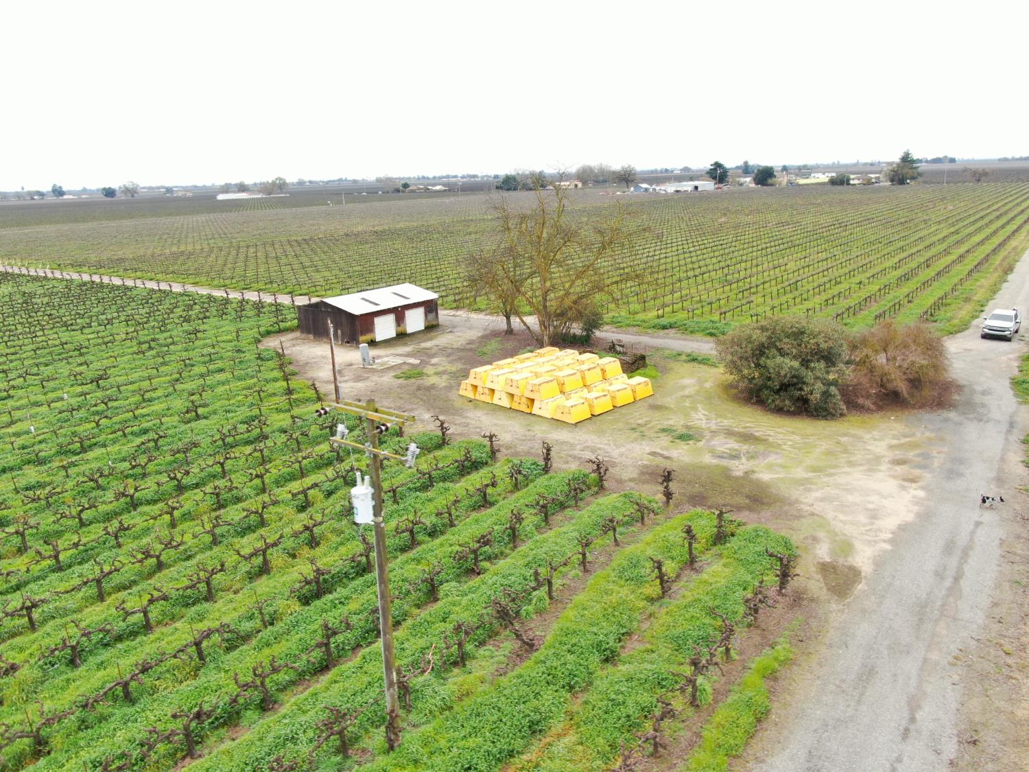21610 Devries Road Lodi, CA 95242 - Photo 10 of 11 Gallery Image 10