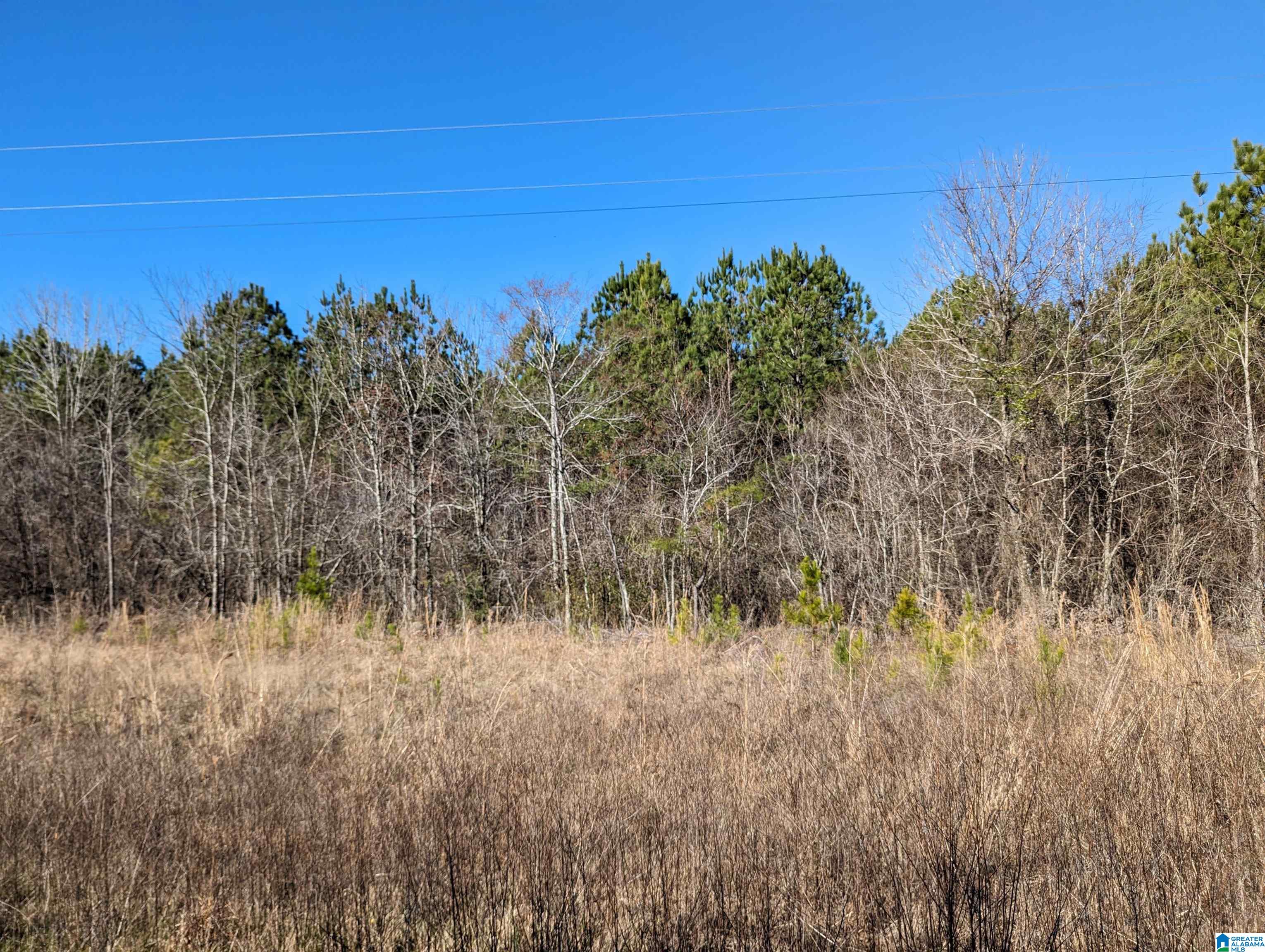 0 Chandler Springs Road Talladega, AL 35160 - Photo 24 of 35