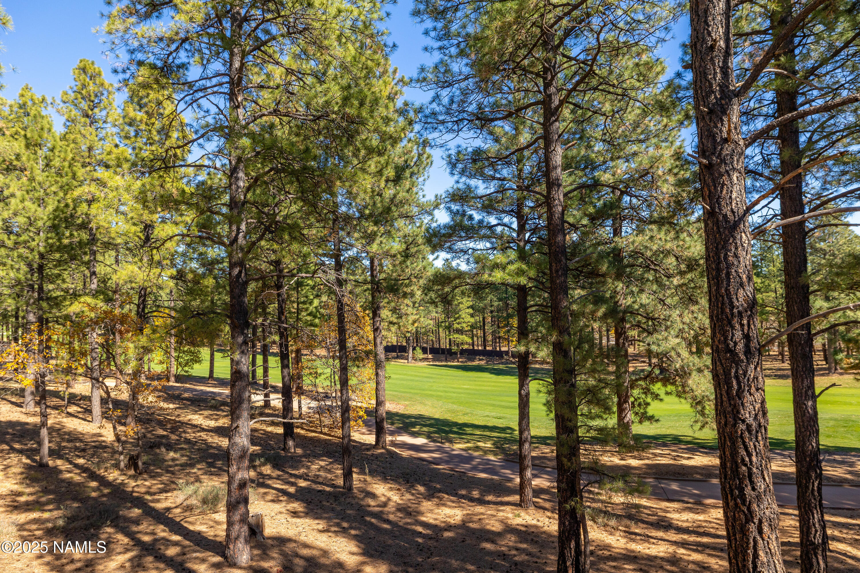 4180 Lariat Loop Flagstaff, AZ 86005 - Photo 51 of 59 a view of a yard with a tree