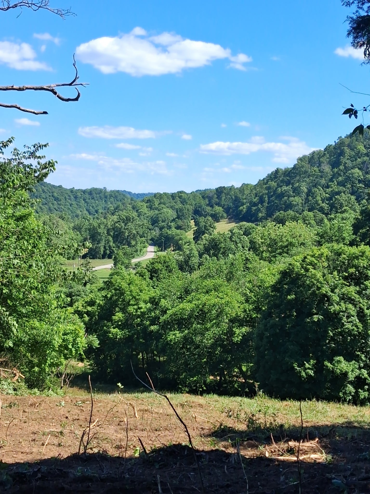 0 Little Creek Road Pleasant Shade, TN 37145 - Photo 5 of 7