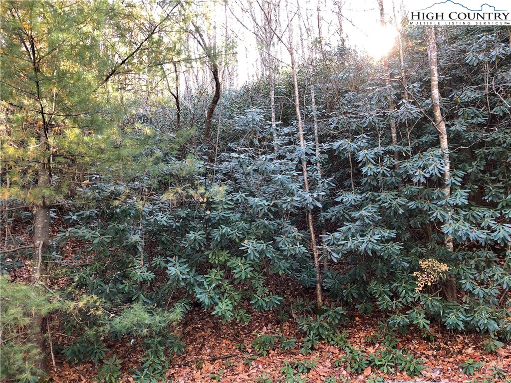 116 Deergrass Road Beech Mountain, NC 28604 - Photo 3 of 4 Gallery Image 3