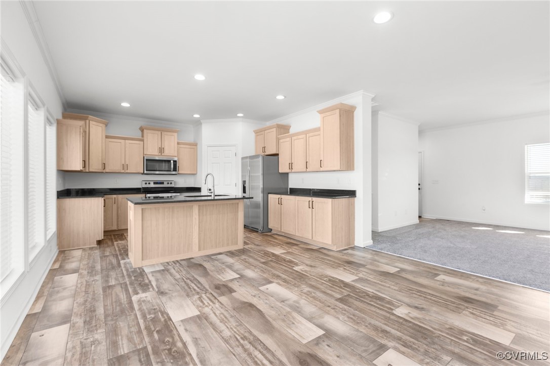 1151 Levi Road Green Bay, VA 23942 - Photo 38 of 38 Kitchen with open floor plan, stainless steel appl