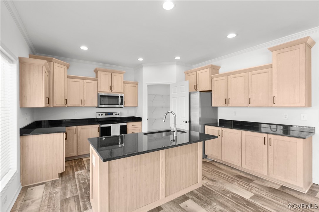 1151 Levi Road Green Bay, VA 23942 - Photo 14 of 38 Kitchen with dark countertops, a sink, light brown