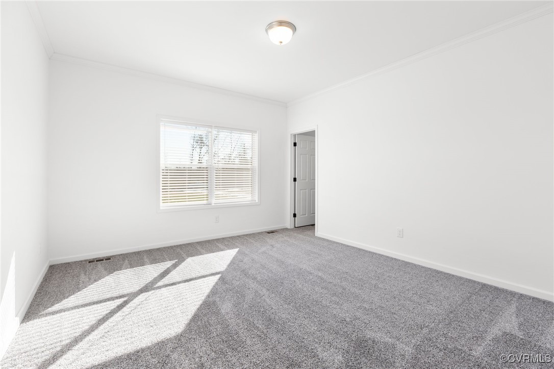 1151 Levi Road Green Bay, VA 23942 - Photo 20 of 38 Empty room with carpet flooring, ornamental moldin