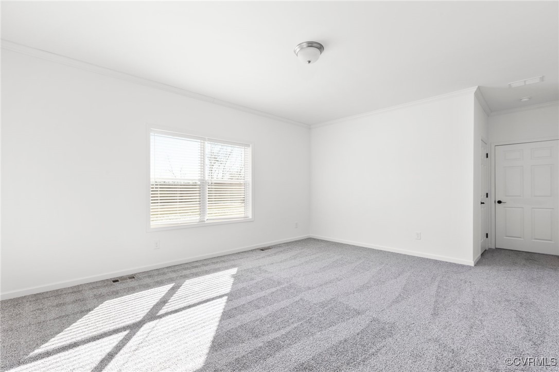 1151 Levi Road Green Bay, VA 23942 - Photo 29 of 38 Carpeted spare room featuring ornamental molding,