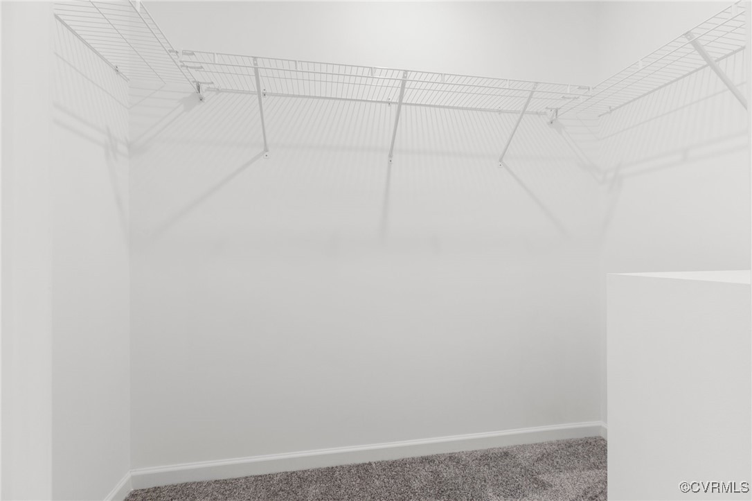 1151 Levi Road Green Bay, VA 23942 - Photo 36 of 38 Walk in closet with carpet floors