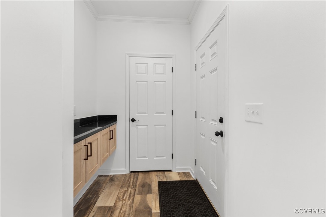 1151 Levi Road Green Bay, VA 23942 - Photo 4 of 38 Entryway with crown molding and light wood-style f