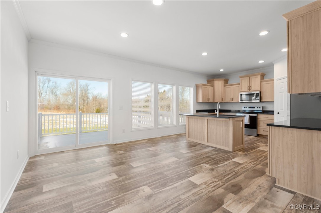 1151 Levi Road Green Bay, VA 23942 - Photo 10 of 38 Kitchen featuring crown molding, light wood-type f