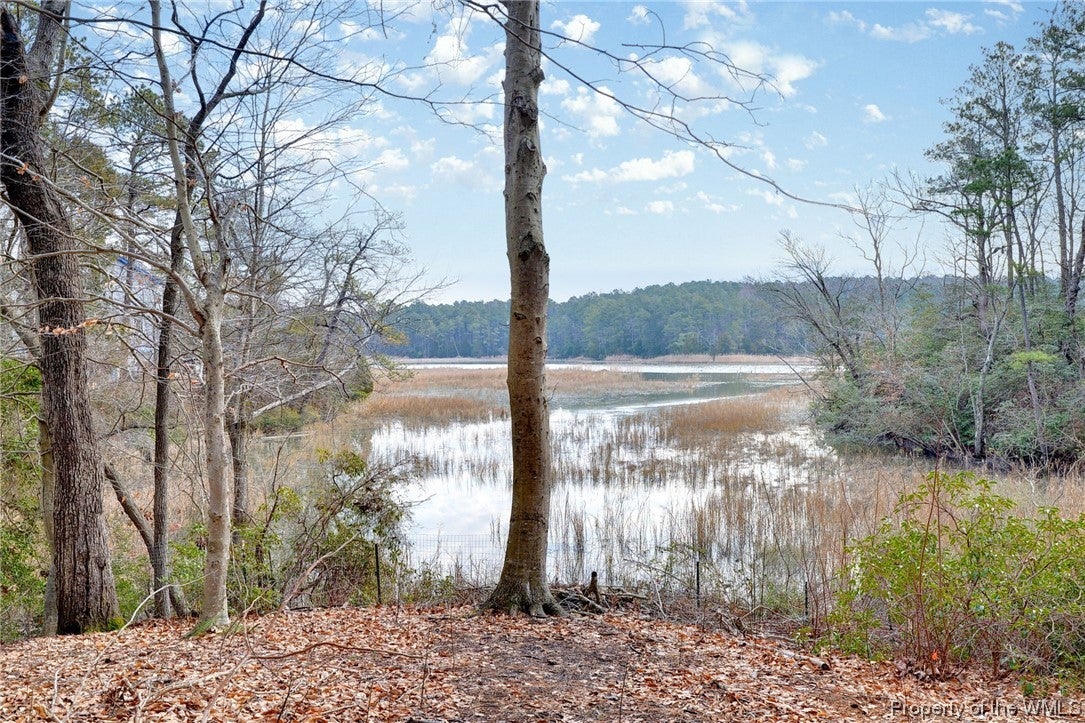 15577 Mill Swamp Road Smithfield, VA 23430 - Photo 37 of 40 Gallery Image 37