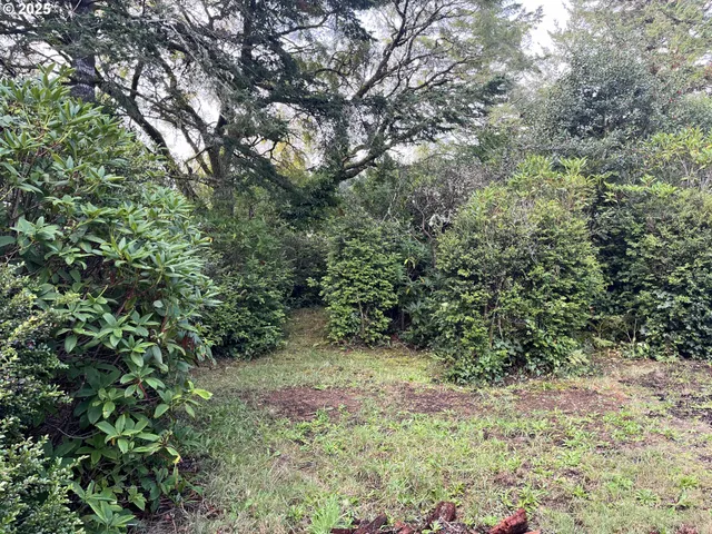 a backyard of a house