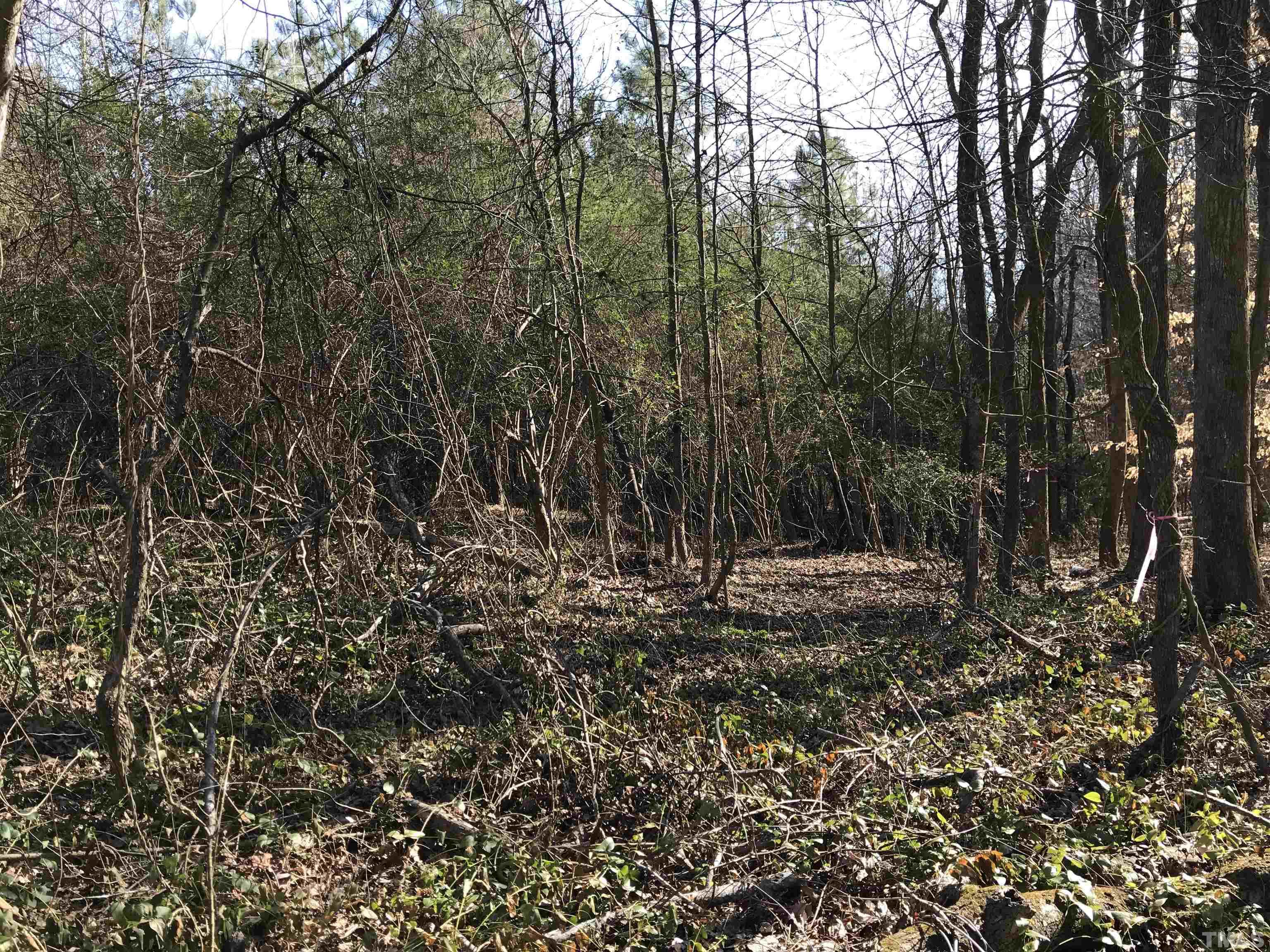 7633 Sam Hall Road Oxford, NC 27565 - Photo 2 of 5 Gallery Image 2