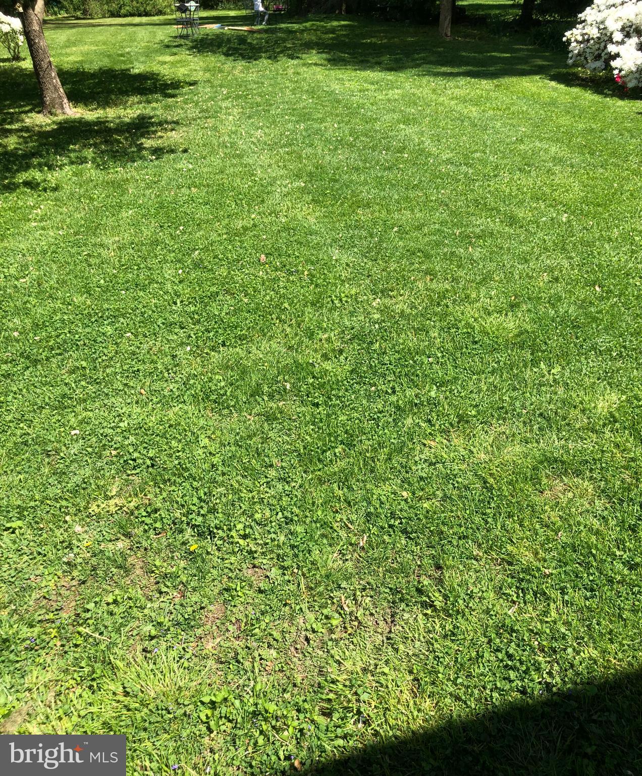 307 Fairview Avenue Moorestown, NJ 08057 - Photo 26 of 31 a view of a garden with a bench