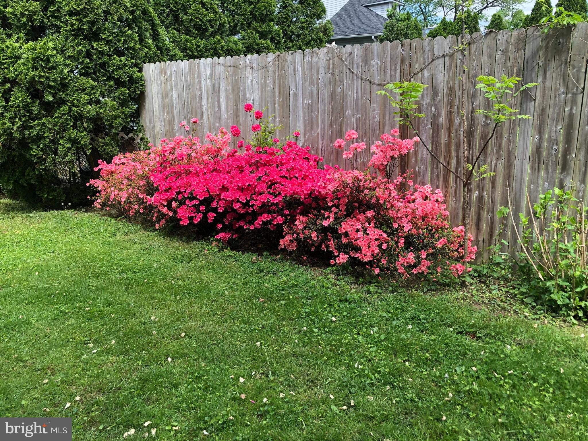 307 Fairview Avenue Moorestown, NJ 08057 - Photo 27 of 31 a view of garden with flowers