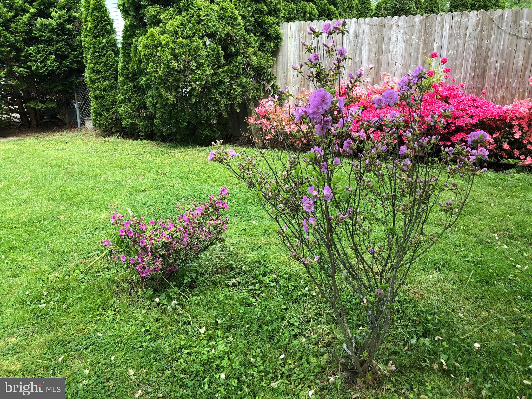 307 Fairview Avenue Moorestown, NJ 08057 - Photo 28 of 31 a view of a flowers in a backyard