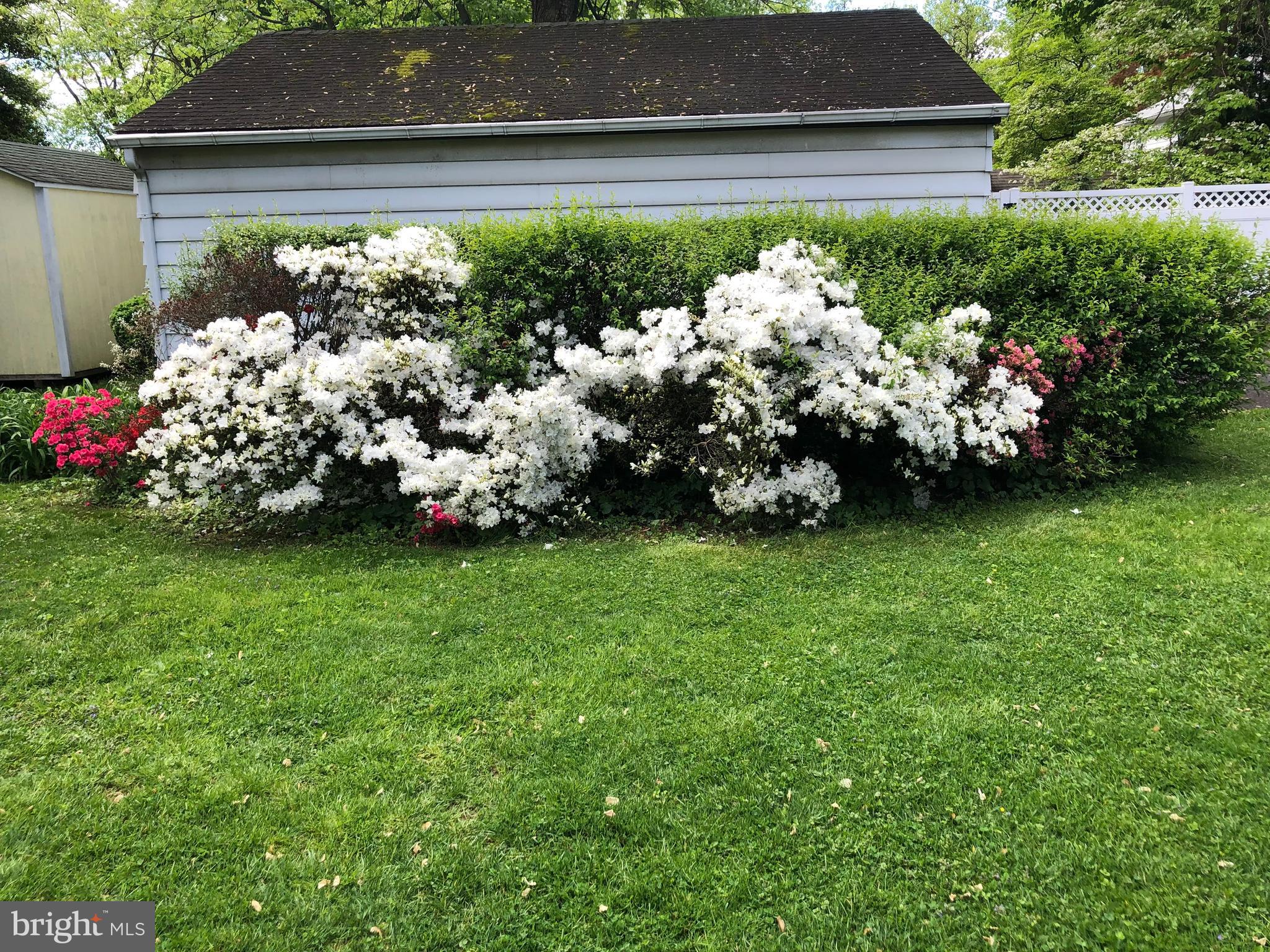 307 Fairview Avenue Moorestown, NJ 08057 - Photo 29 of 31 a bunch of flowers in it with yard