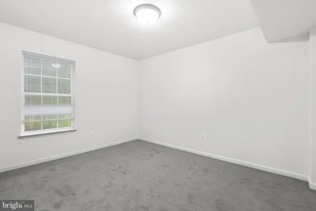 a view of a backyard with large trees