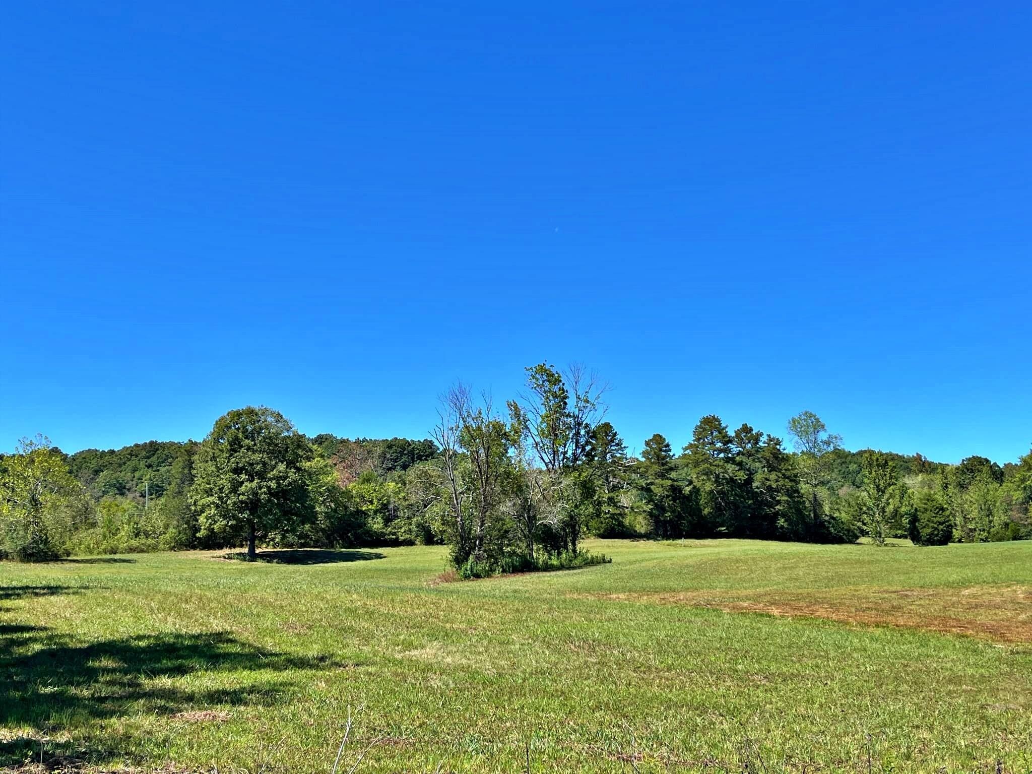 0 North Nopone Valley Road Decatur, TN 37322 - Photo 5 of 11