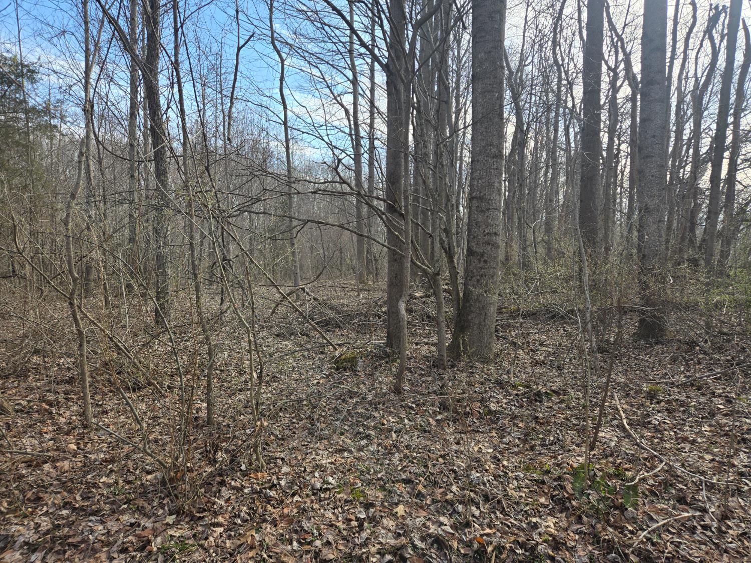 115 Mettle Road Laurel, IN 47024 - Photo 23 of 59